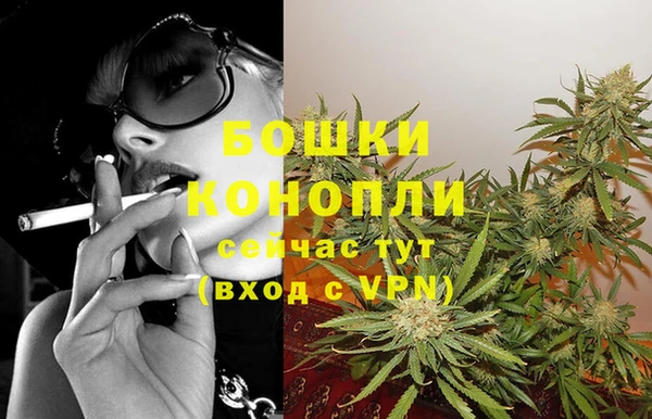 спайс Новодвинск