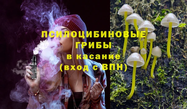 спайс Новодвинск