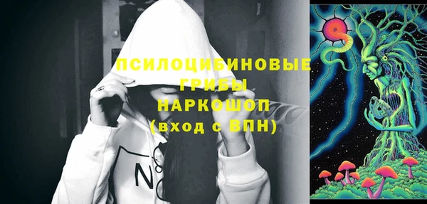 ALPHA-PVP Новозыбков