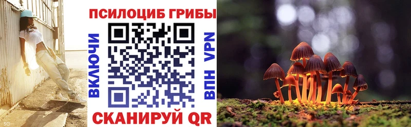 Купить закладки  Усолье-Сибирское  Галлюциногенные грибы мухоморы 